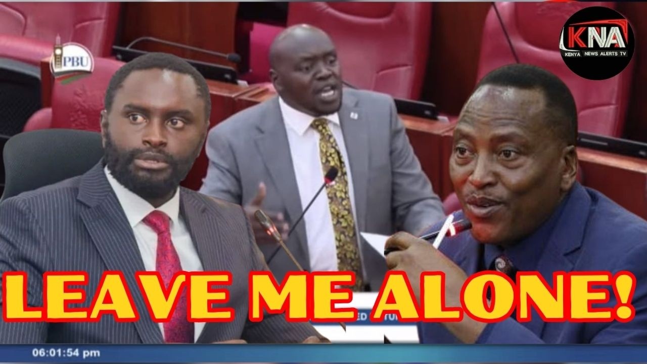 SENATOR METHU AND ONYONKA LEAVE ME ALONE AND REPRESENT YOUR HOUSES TOO AM FIGHTING FOR MY OWN!