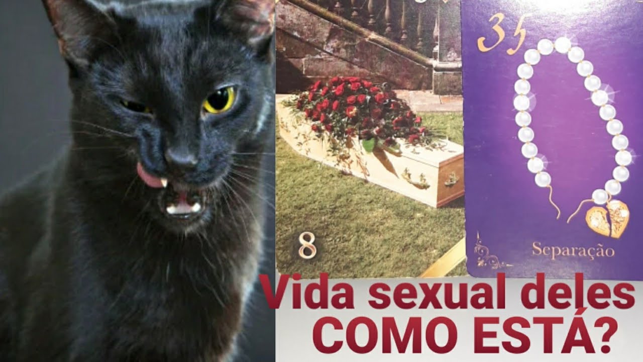 Mulambo revela: como está o 