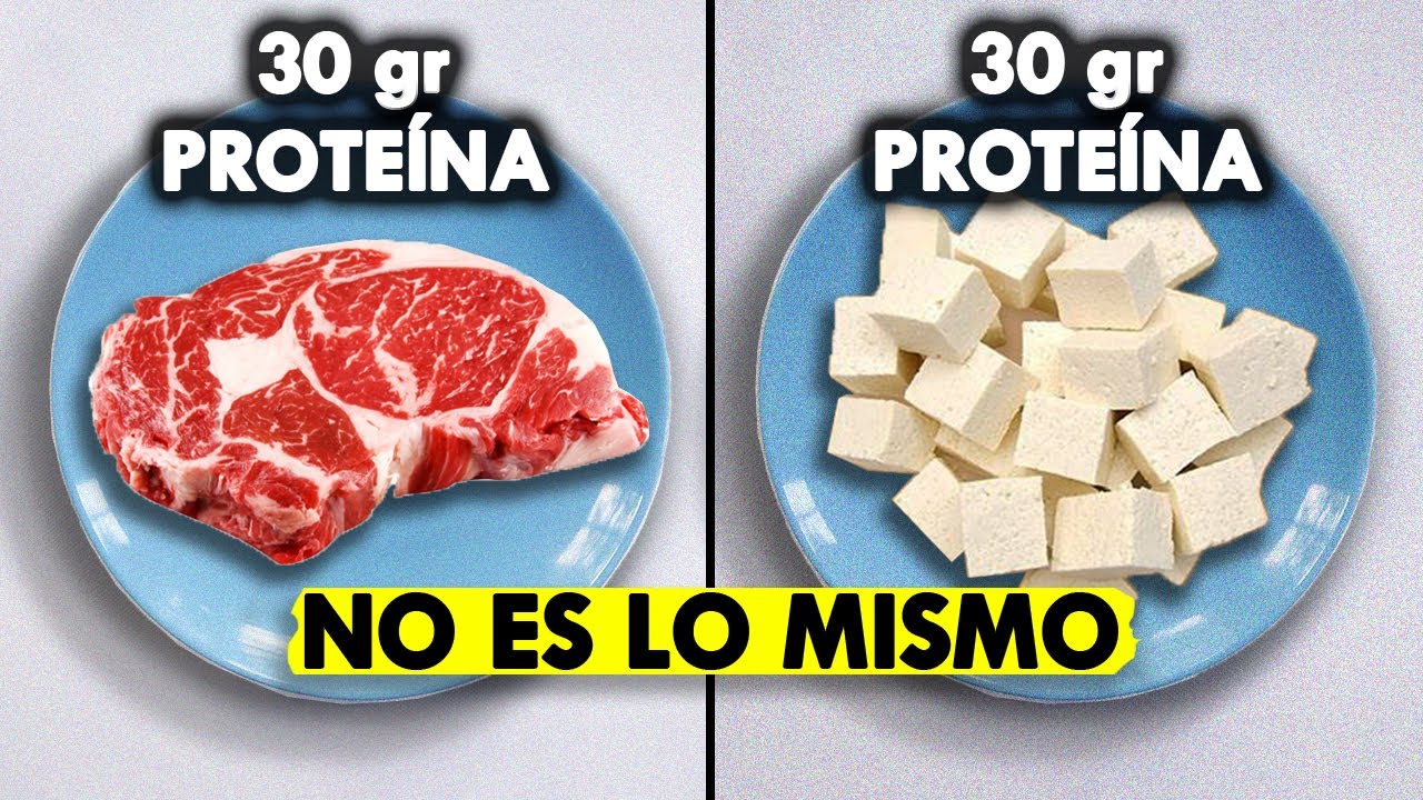 Proteína Animal Vs Vegetal Según La Ciencia