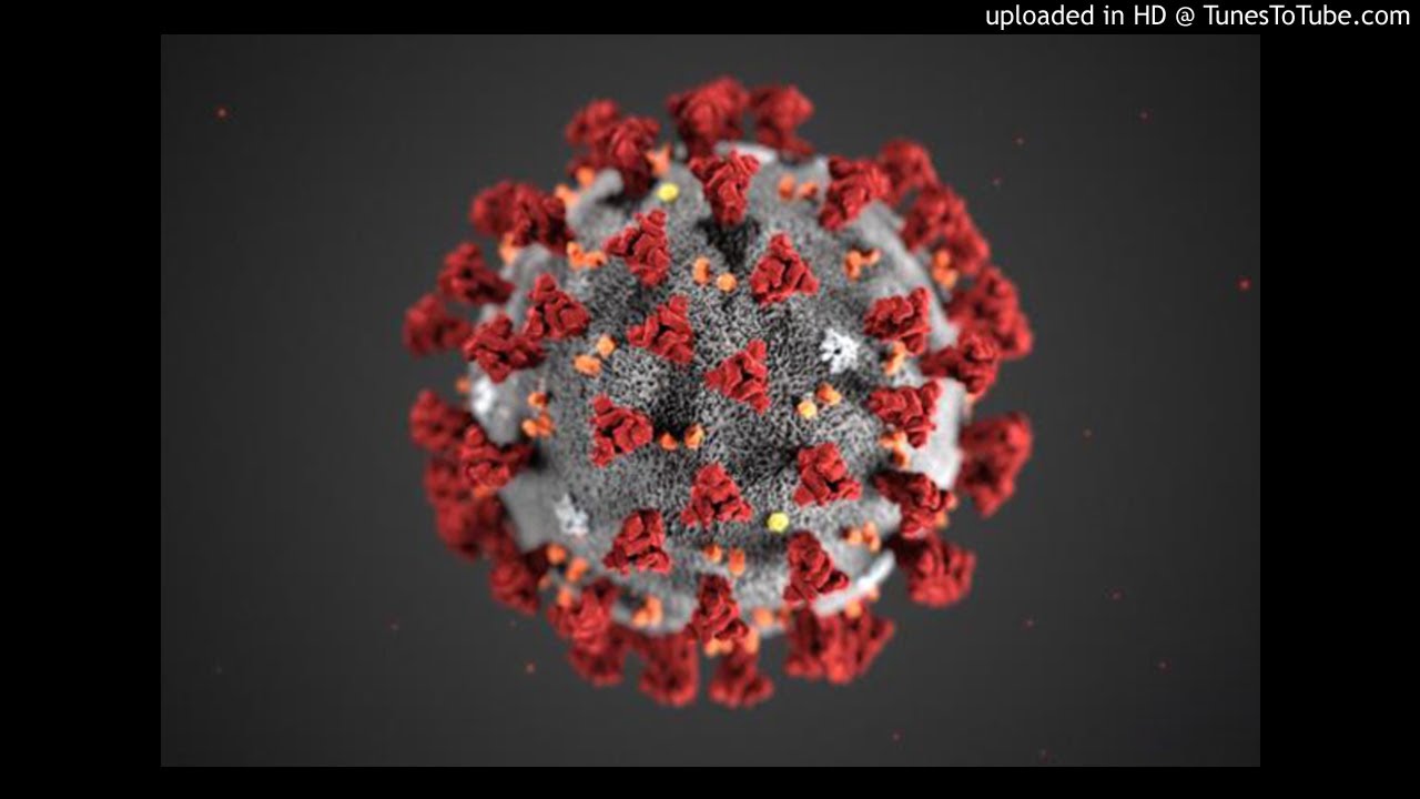CORONAVIRUS TYPE BEAT PART 2