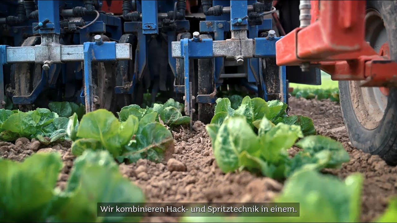 Spotspray im Gemüsebau - Florian Schmelzer und Jan Siegenthaler berichten