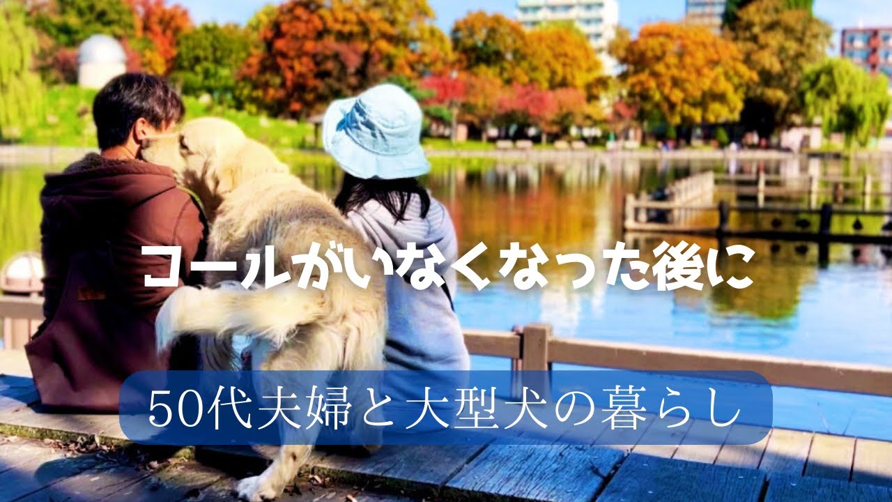 あの時はしあわせだったと語るために｜﻿50代夫婦と大型犬の暮らし