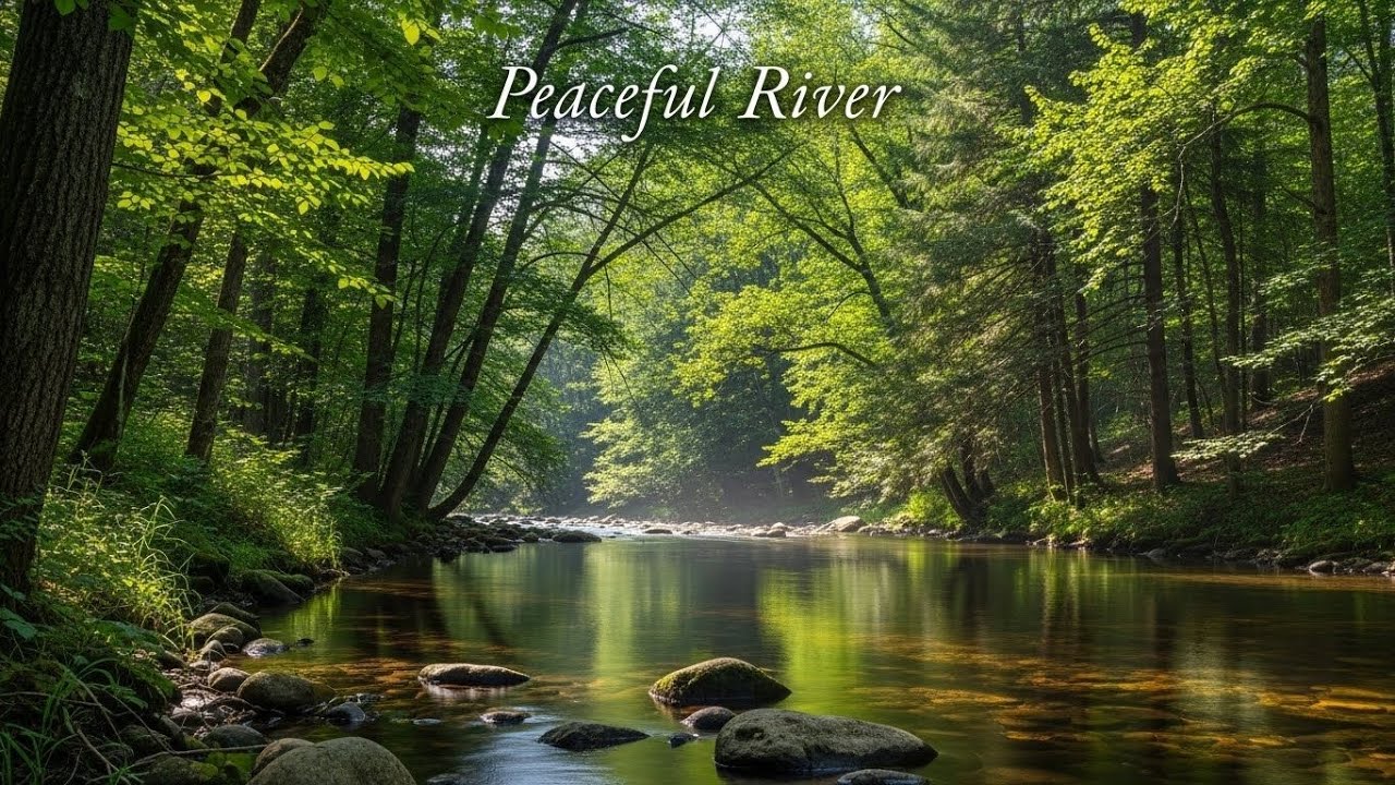 Tranquil River Flow 🌿 Soothing Nature Soundscape for Sleep and Stress Relief #243