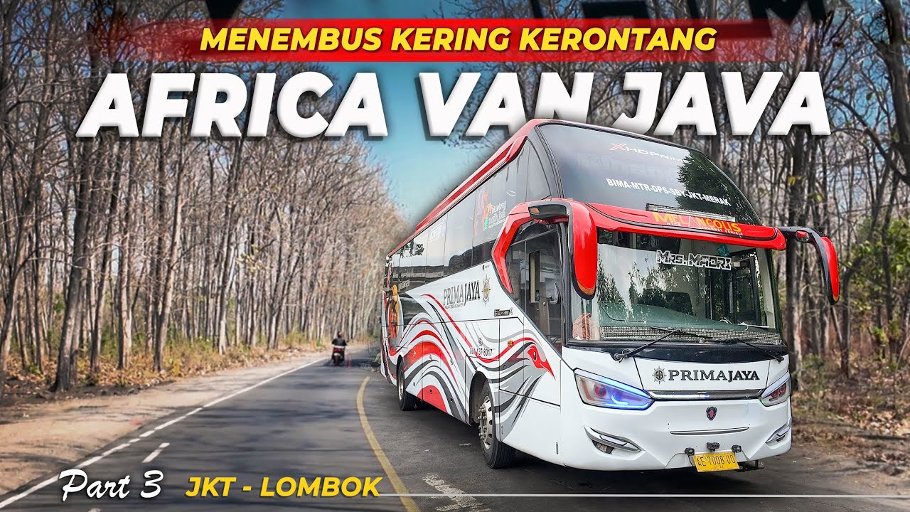 𝗦𝗜𝗔𝗡𝗚 𝗬𝗚 𝗠𝗜𝗦𝗧𝗜𝗦.. 𝗔𝗙𝗥𝗜𝗞𝗔 𝗗𝗜 𝗧𝗔𝗡𝗔𝗛 𝗝𝗔𝗪𝗔 | Trip Bus PO Prima Jaya | Jakarta Lombok Mataram Bima #3