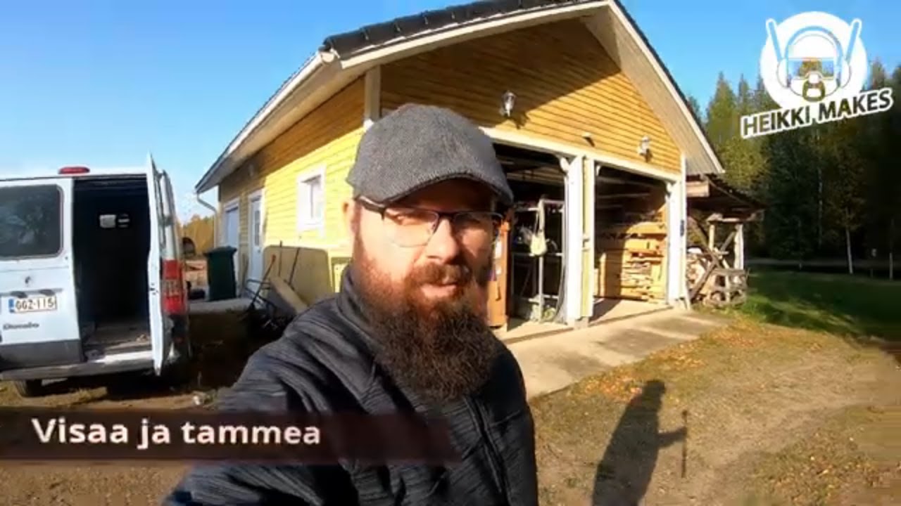 Visakoivua ja tammea