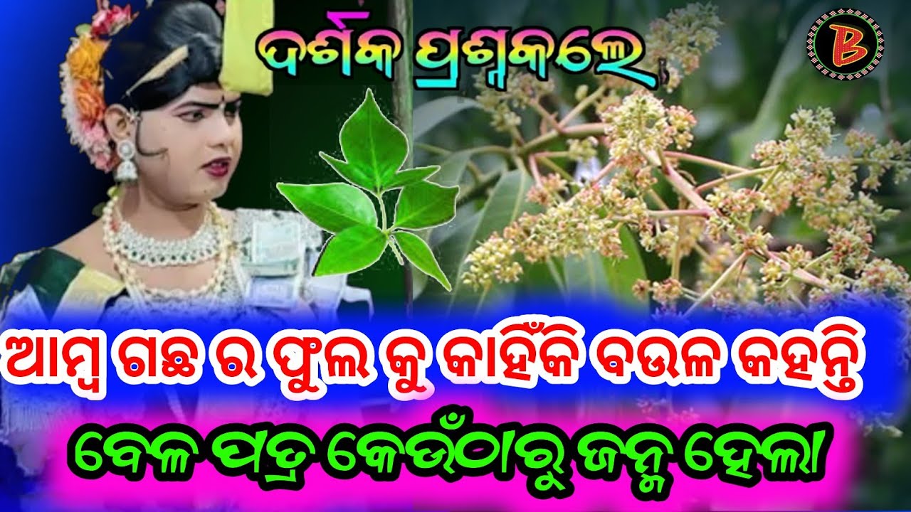 ଆମ୍ବ ଗଛ ର ଫୁଲ କୁ କାହିଁକି ବଉଳ କହନ୍ତି !! Benjaren Danda Nrutya #ramakantaradha #biswamitrasaofficial 