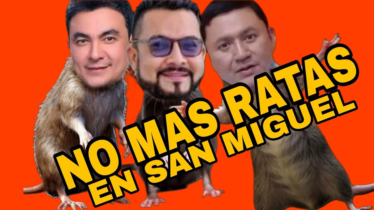 MIGUELEÑOS NO QUIEREN  MAS RATAS DE ALCALDE.