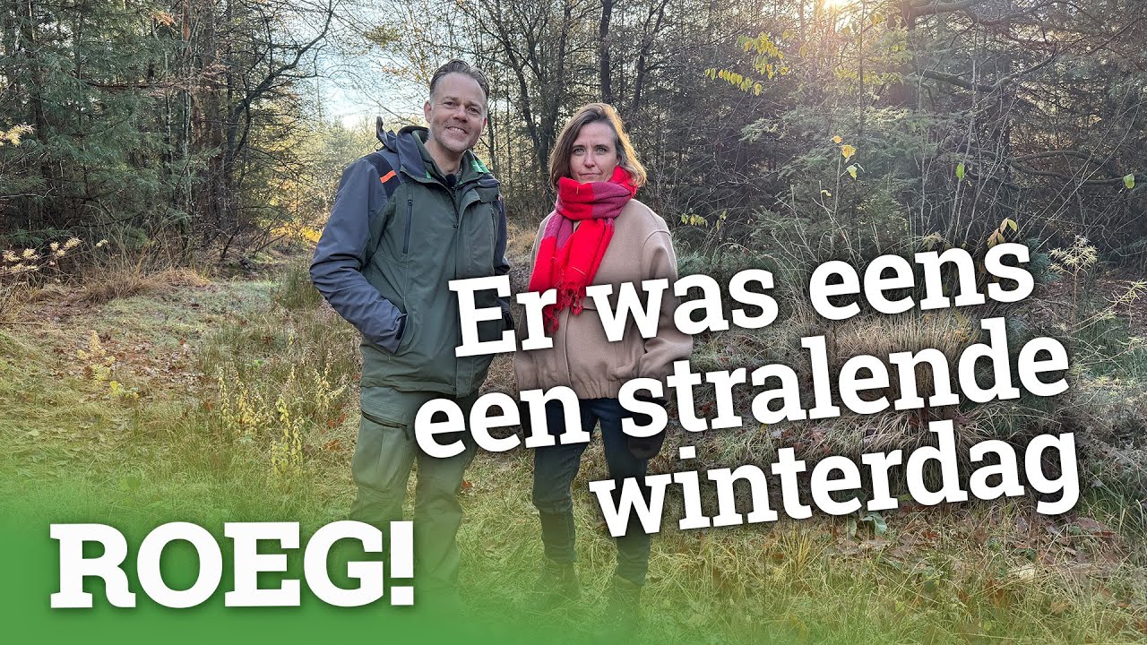 Bitterkoekjes en galappeltjes 🍎 in een nieuwe ROEG! vlog