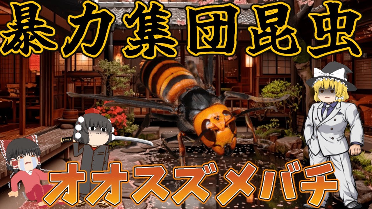 【ゆっくり解説】暴力集団昆虫！オオスズメバチ