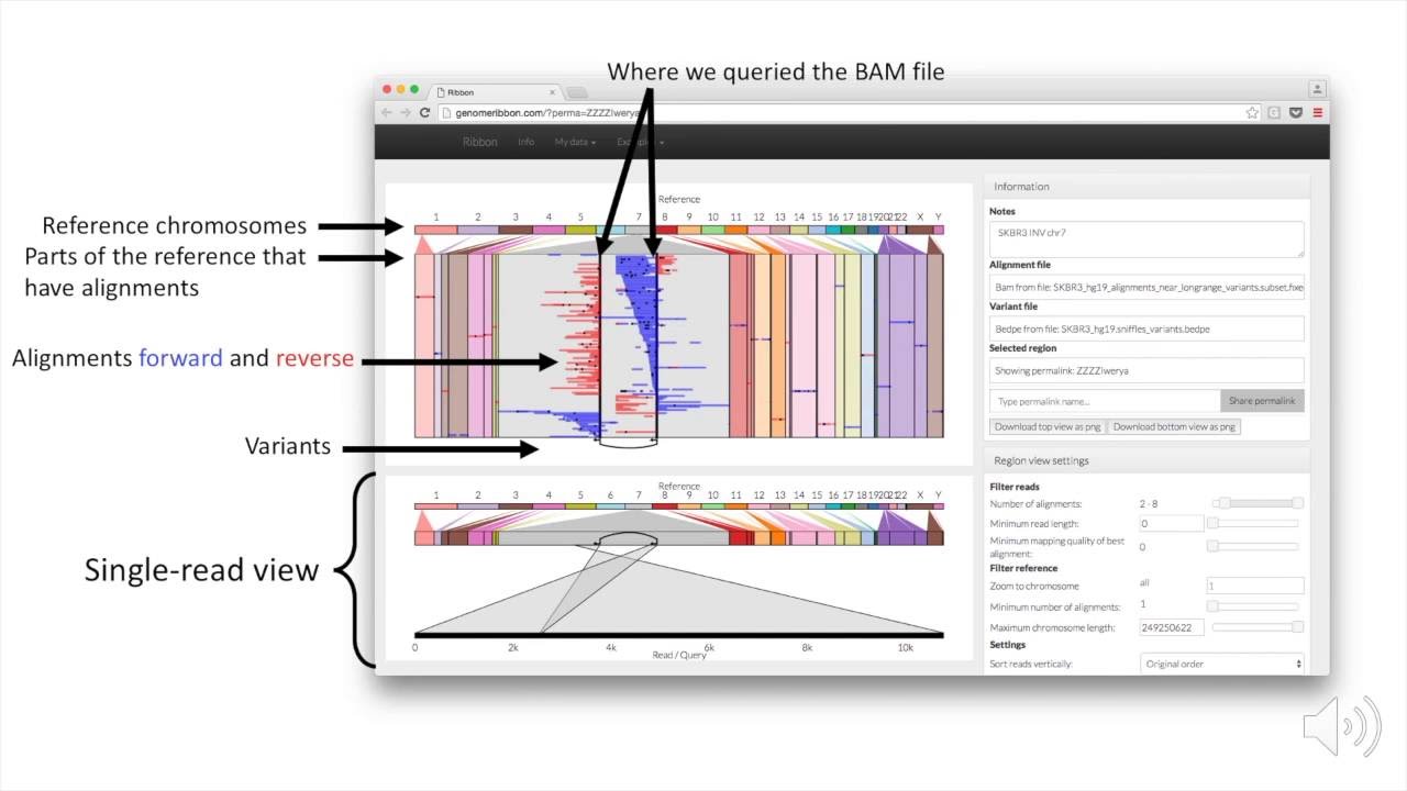 Maria Nattestad Genome Ribbon talk