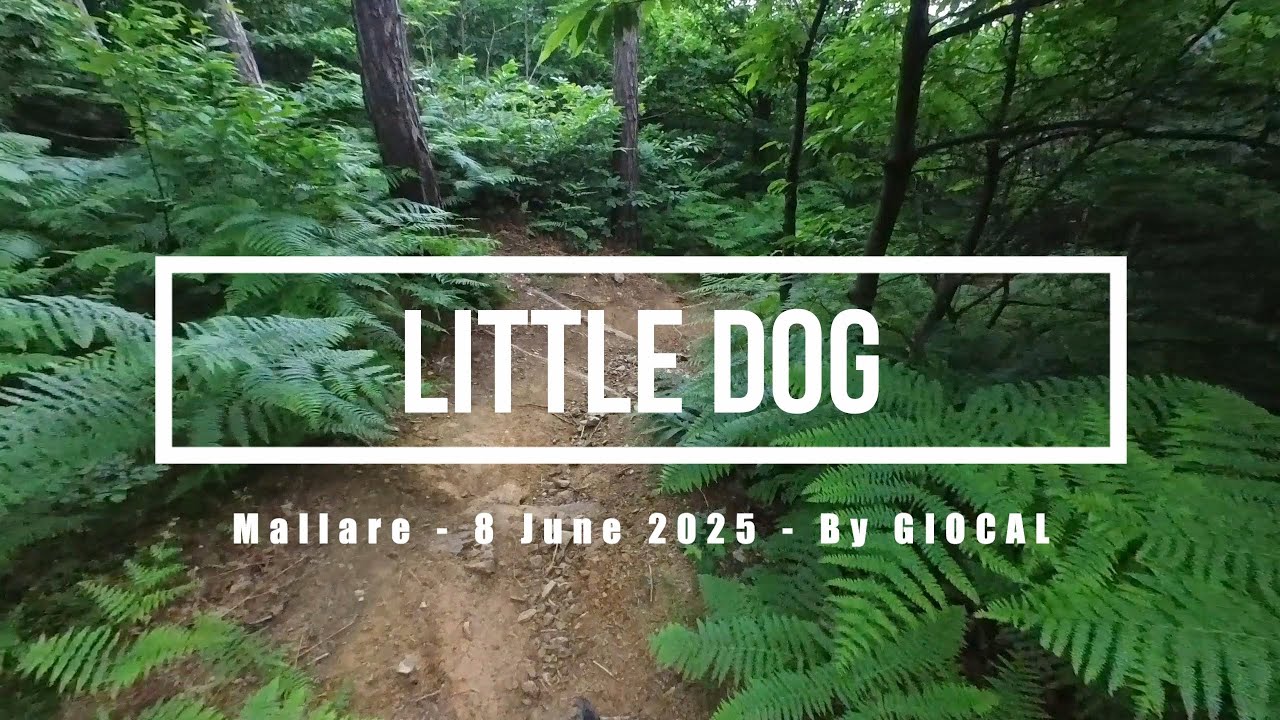 Mallare eMTBing - Trail Little Dog