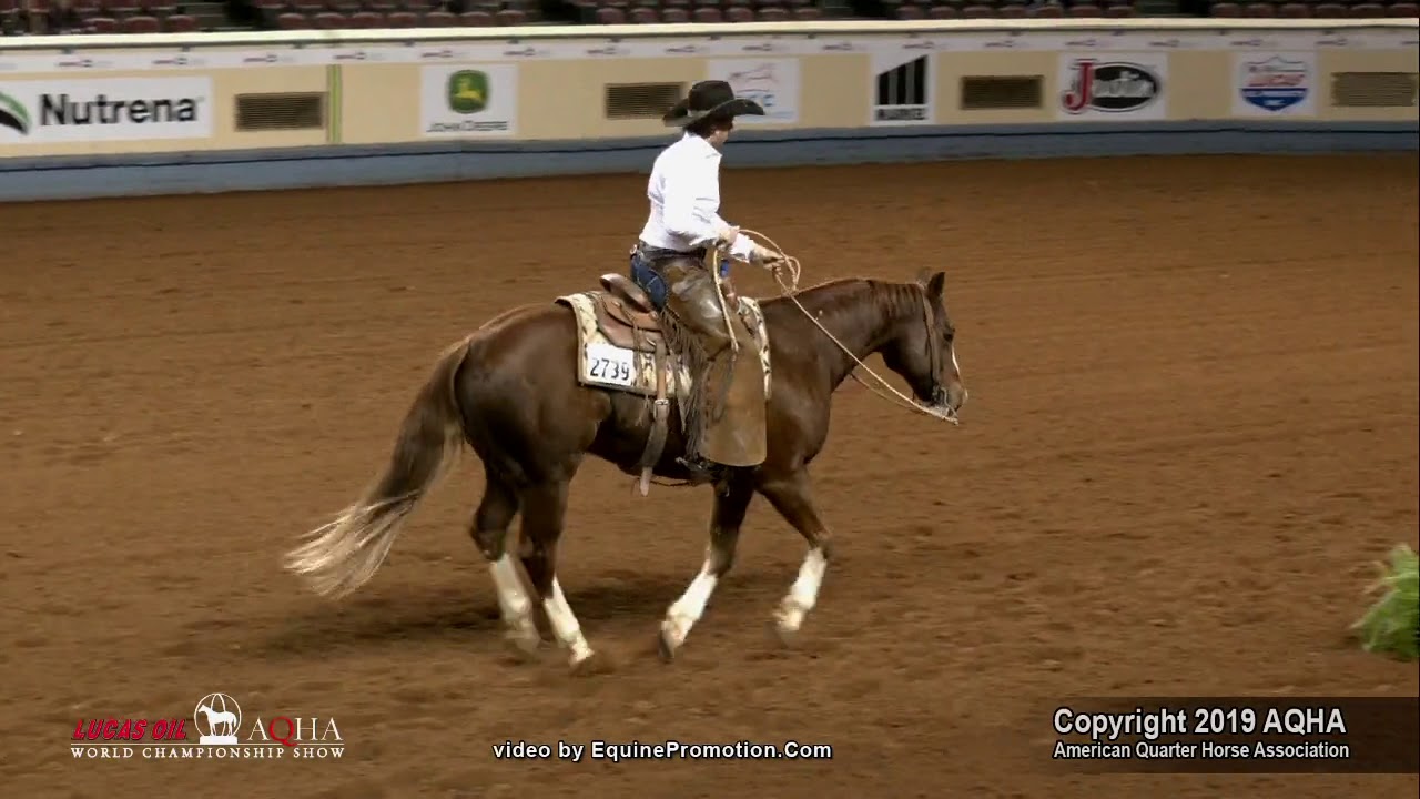 2019 AQHA World Show Sr  Ranch Riding, FINALS