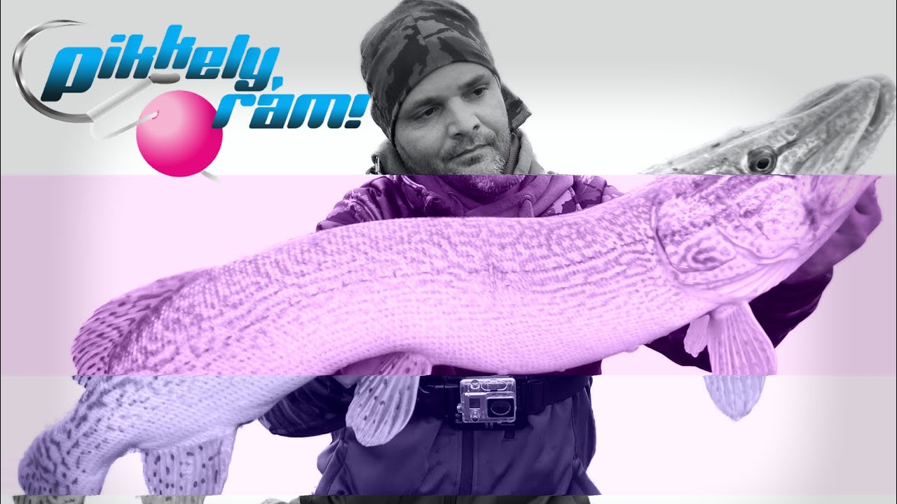 Pikkely Rám! - Hidegvölgyben jártunk, láttunk, dobtunk, fogtunk, elfáradtunk! (Mini klipp)