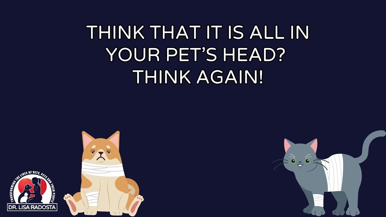 The link between discomfort, pain and behavior problems in dogs and cats.