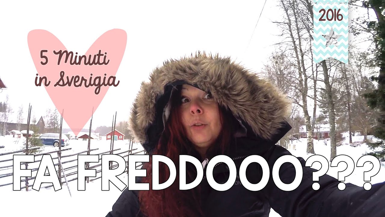 5 Minuti in Sverigia 2016 - FA FREDDOOOO???