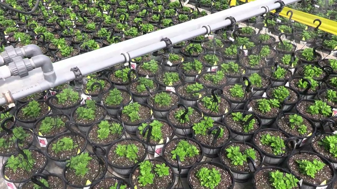 AdeptAg Irrigation Booms
