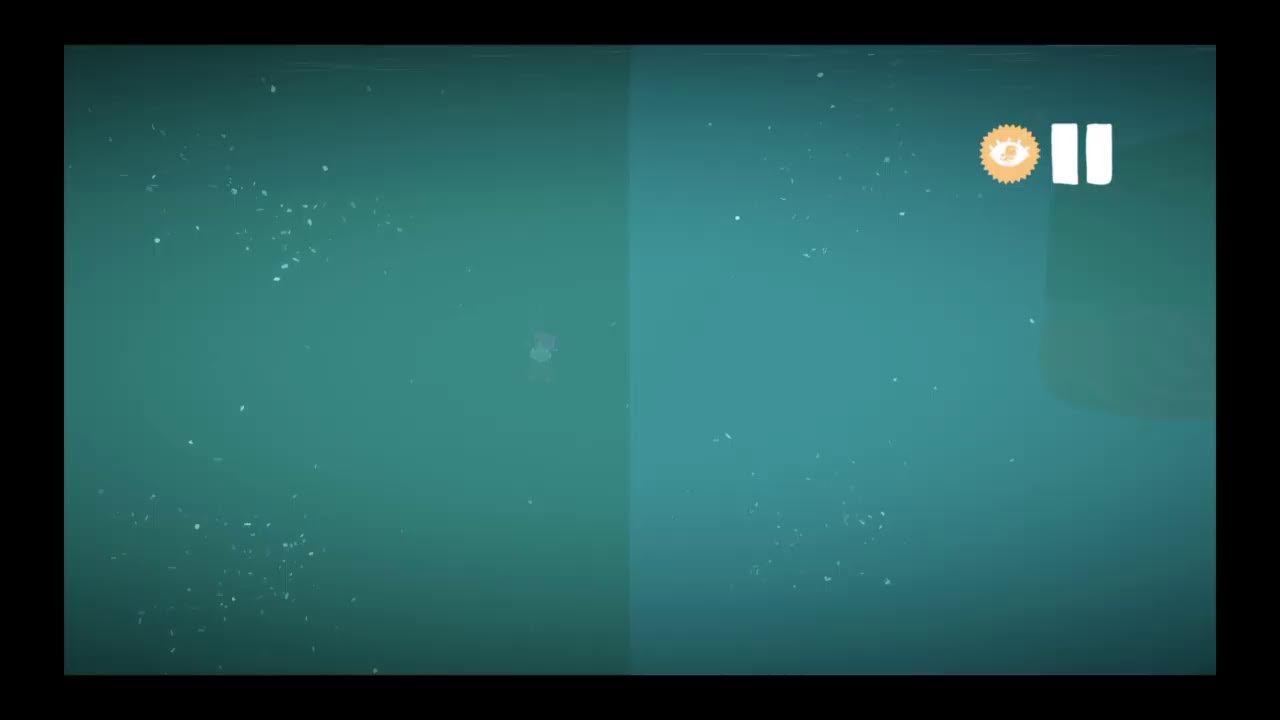 Random LBP stream 215