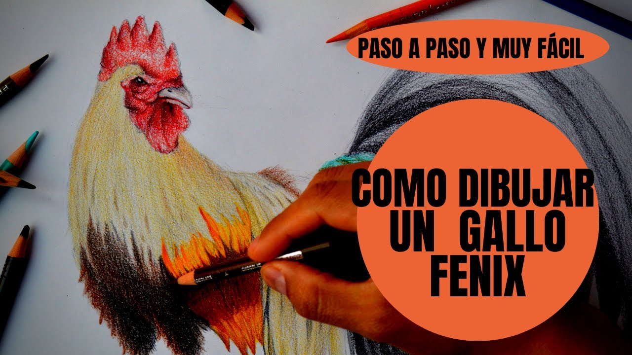 Cómo Dibujar Un Gallo Fénix (Onagadori) Paso a Paso Muy fácil