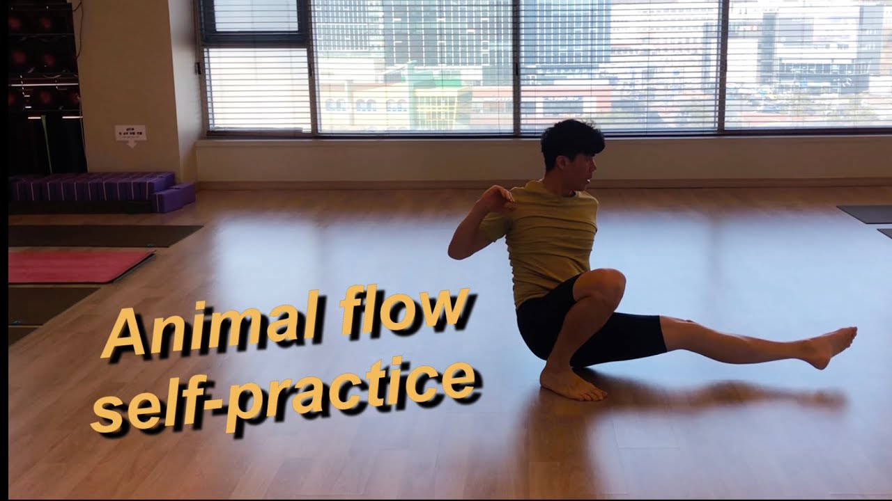 애니멀플로우(animal flow)개인 수련/animal flow self-practice