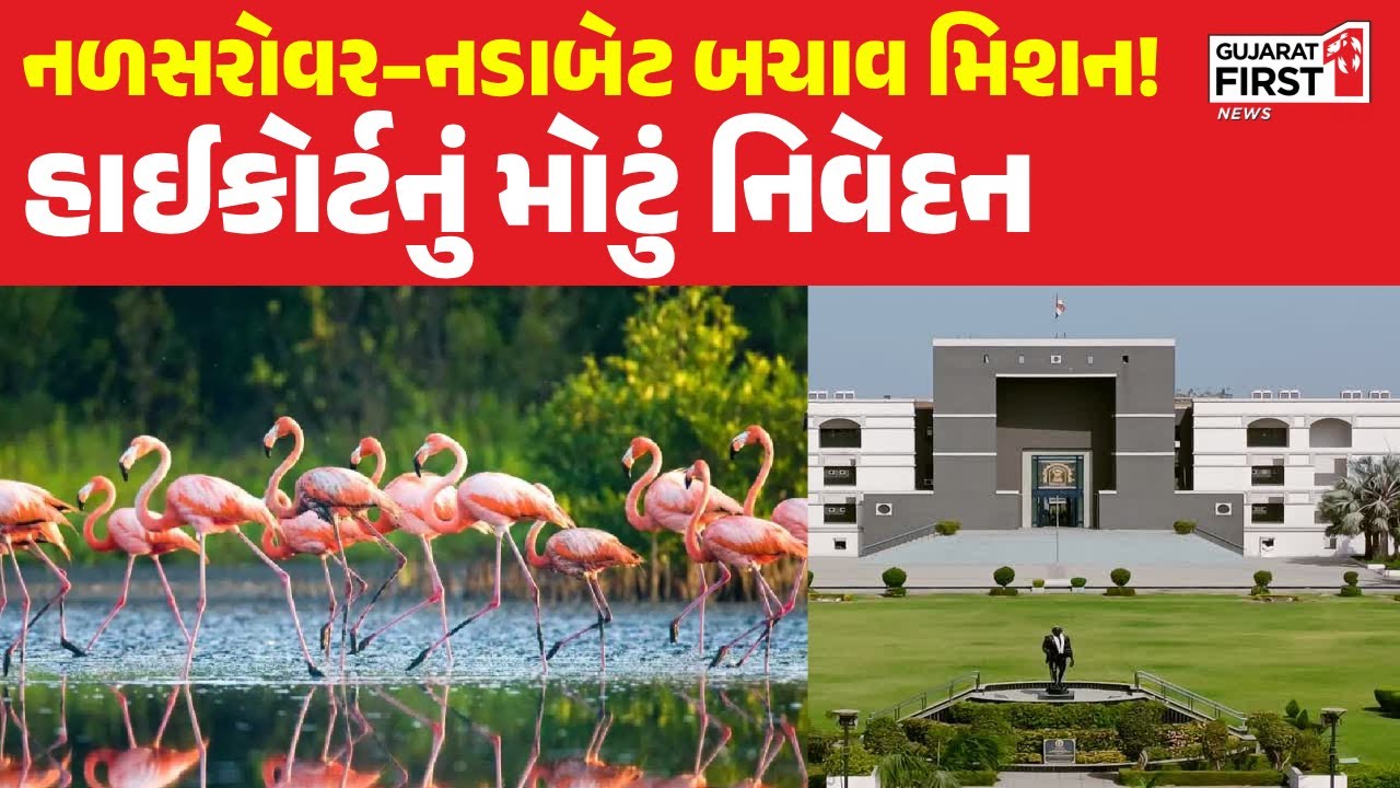 NalSarovar Nadabet Wildlife Protection: Nalsarovar is not a picnic spot, strict order of the High Court