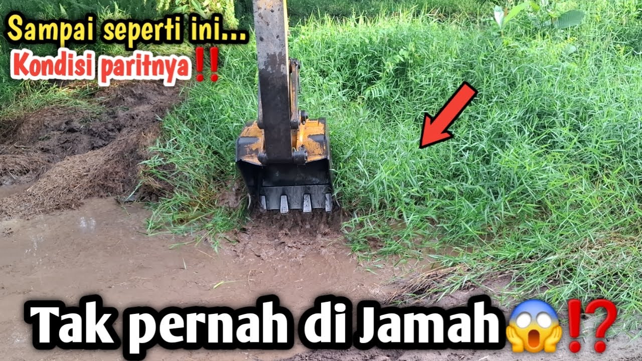 Tak pernah di jamah😱⁉️Sampai seperti ini, Kondisi paritnya‼️