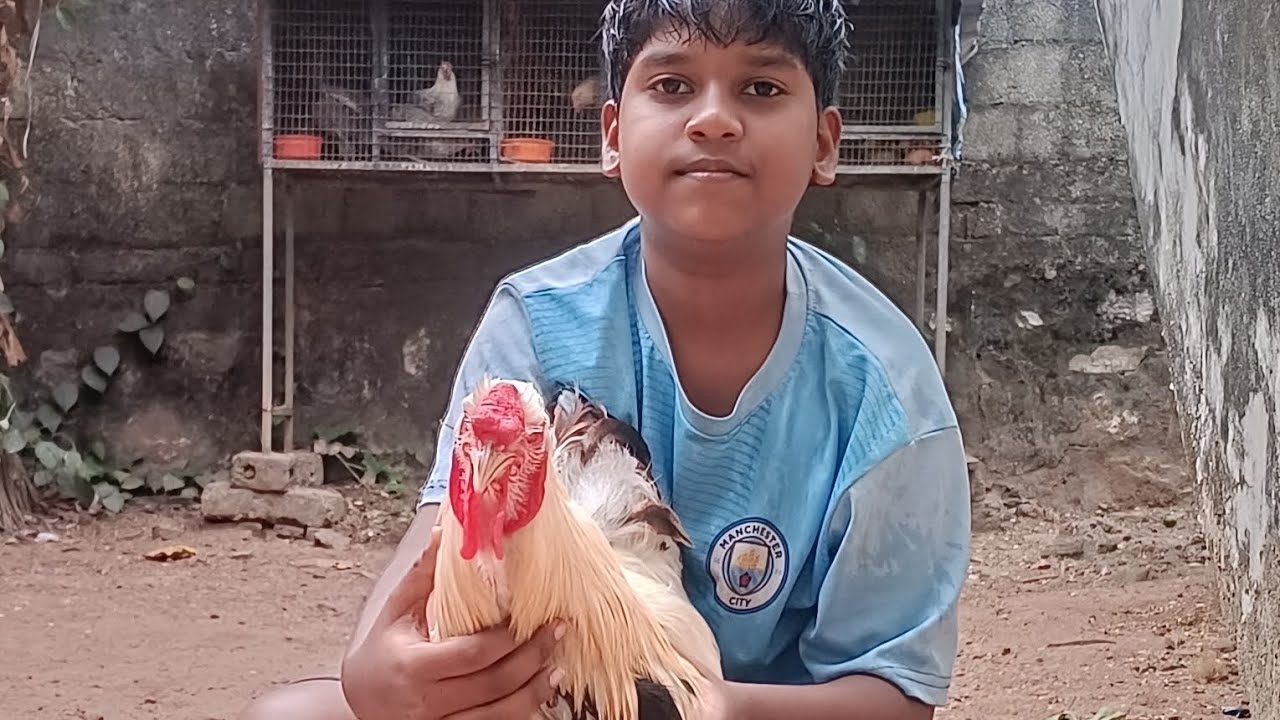 Our small   Hen farm  #home #farm #myself #homevlog     