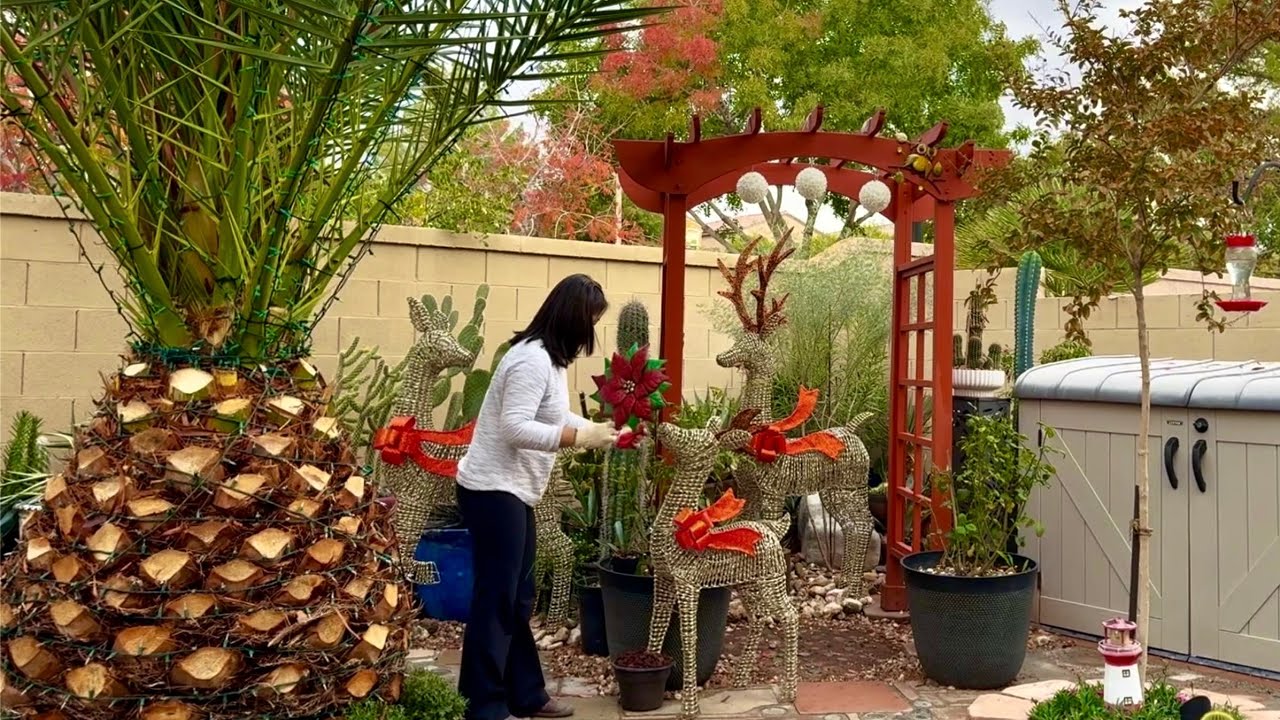 뒷마당 크리스마스 데코레이션 Backyard Christmas Decorations