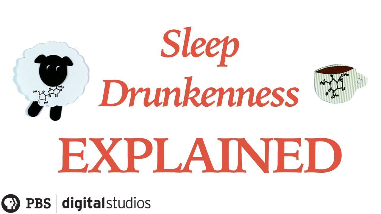 Sleep Drunkenness Explained