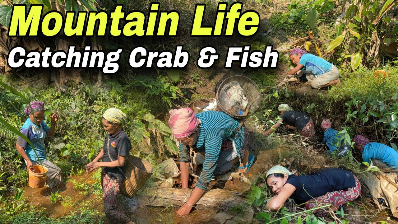 Mountain People Catching Crab, Frog & Fish 🦀🐸🐟 | Traditional Mountain Food Hunting