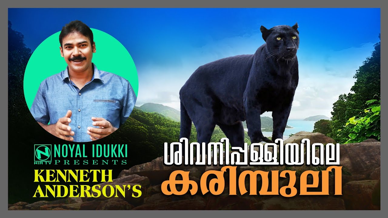 Kenneth Anderson|Black Panther Of Sivanipalli|Noyal Idukki|Hunting Story Malayalam|Nia TV|NoyalWorld