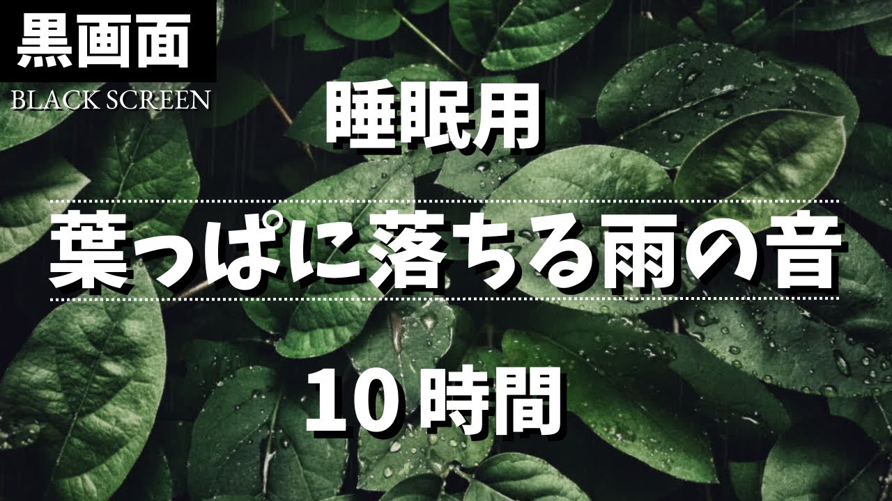 【ぐっすり眠れる】葉っぱに落ちるやさしい雨音 10時間 【黒画面でまぶしくない｜睡眠用BGM】