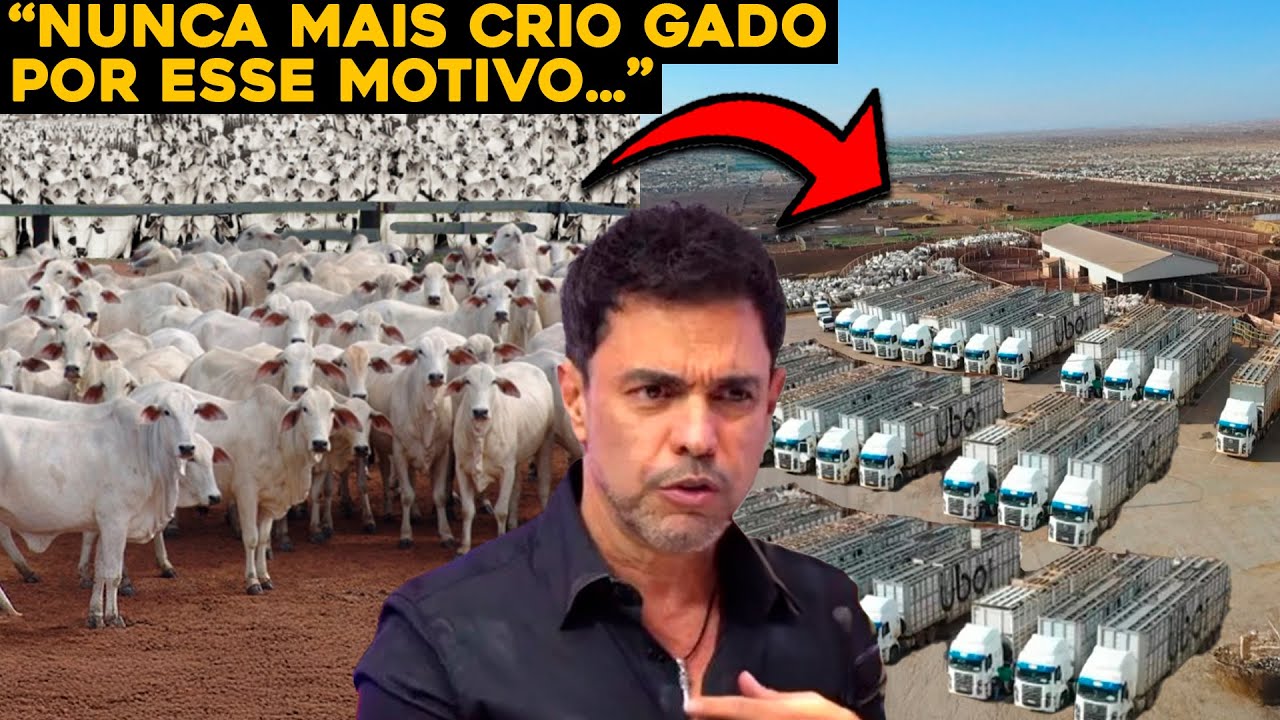 PORQUE ZEZÉ VENDEU TODO GADO DA FAZENDA E PAROU DE CRIAR?