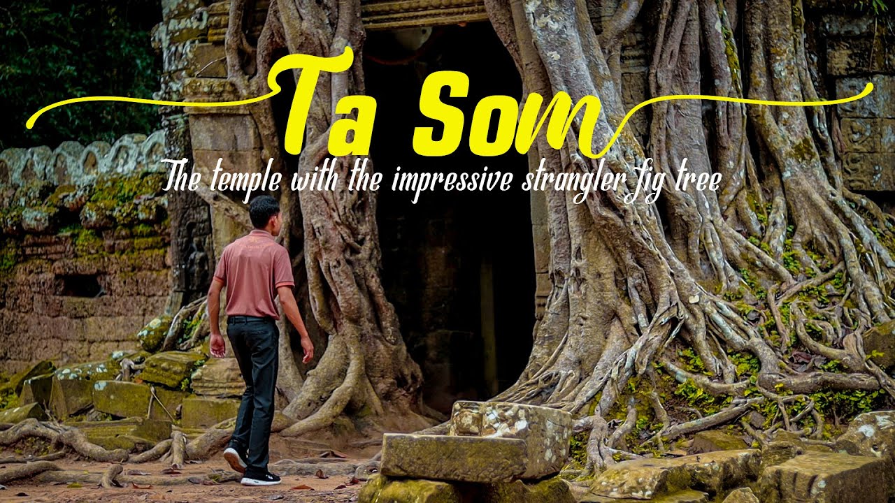 Ta Som Temple I Angkor Park I Exploring the temples in Siem Reap I Attraction in Siem Reap