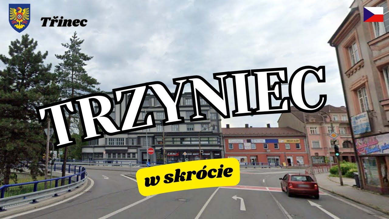 TRZYNIEC w skr&oacute;cie.