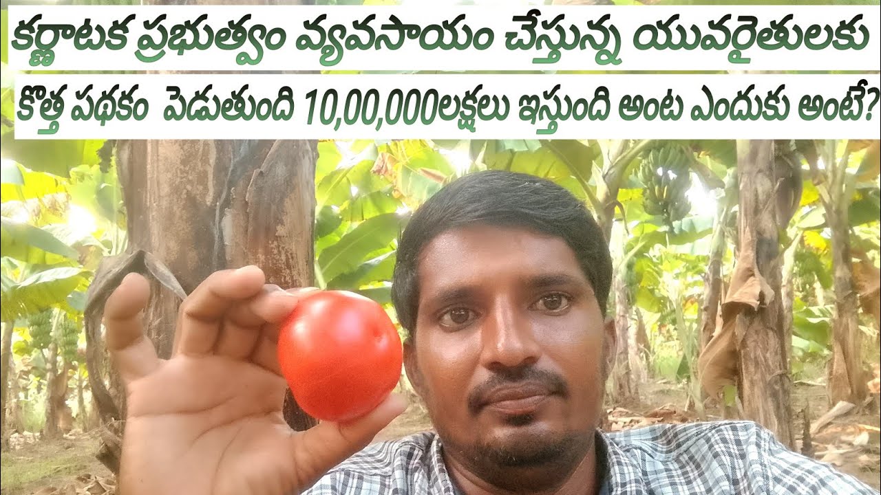 కర్ణాటక ప్రభుత్వం వ్యవసాయం చేస్తున్న యువరైతుల కోసం కొత్తగా పథకం 10,00,000లక్షలు ఇస్తుంది అంట ఎందుకు?