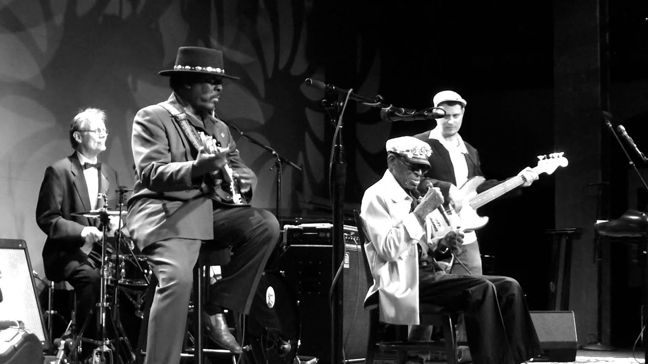 Captain Luke - King Bee (Live at Capitol Blues Night)