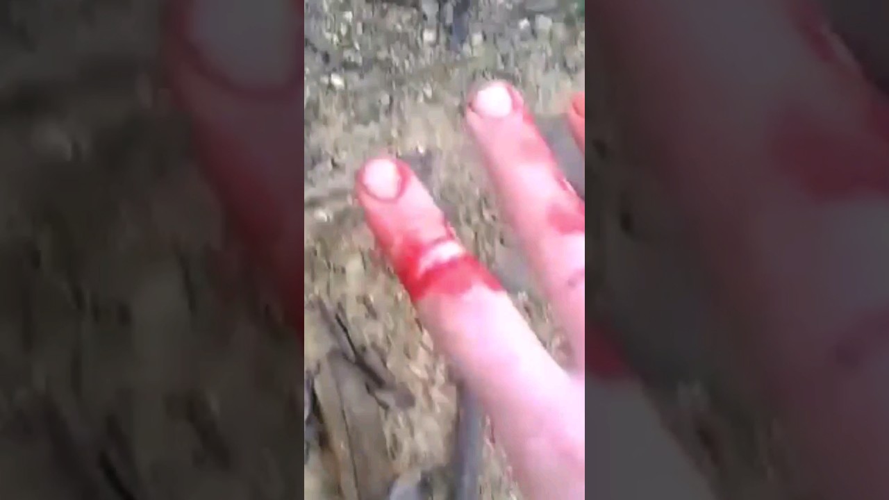 Tar&aacute;rira muerde mano pescador #pescar #tararira #tarucha #shorts #shortvideo