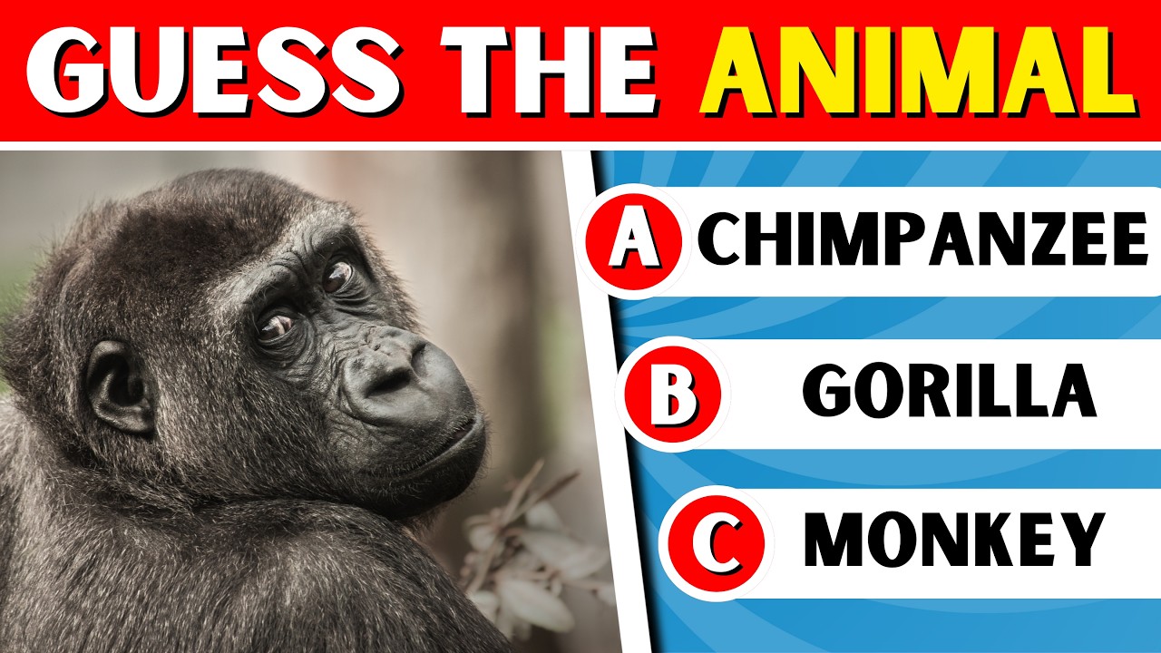 Guess 50 Wild Animals 🦁🐘 | Safari Animals Quiz Challenge