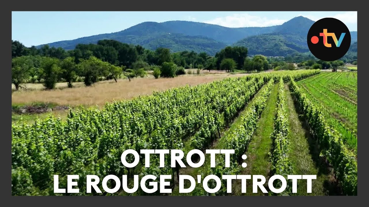Un lieu, des histoires à Ottrott : le rouge d'Ottrott - Episode 1/4