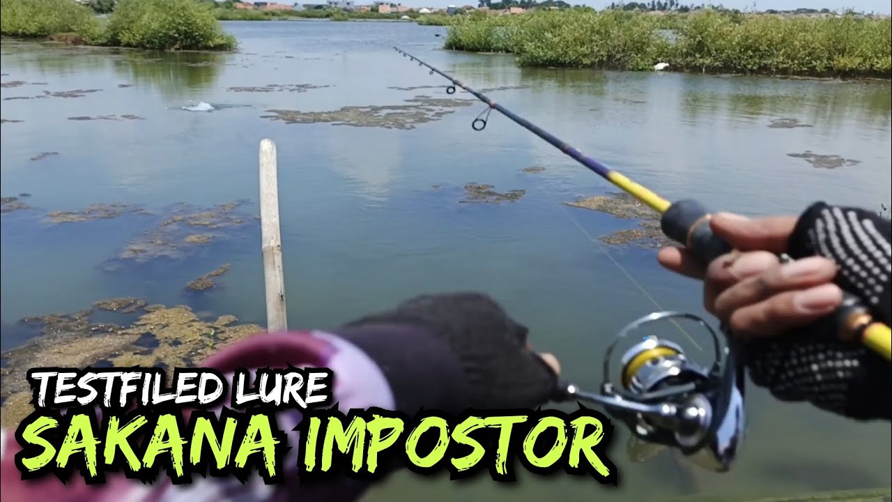 TESTFILED LURE SAKANA IMPOSTOR MANCING DI TAMBAK BANDENG
