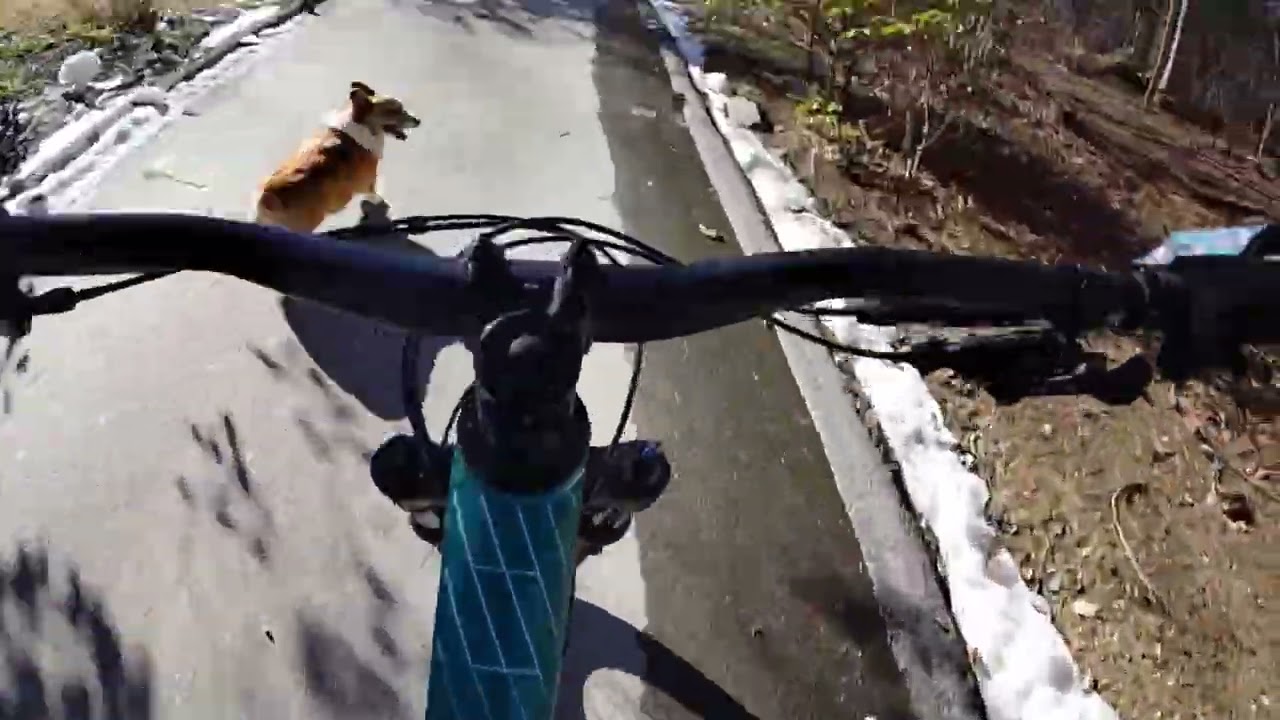 Riding the dual slalom in the slush 
