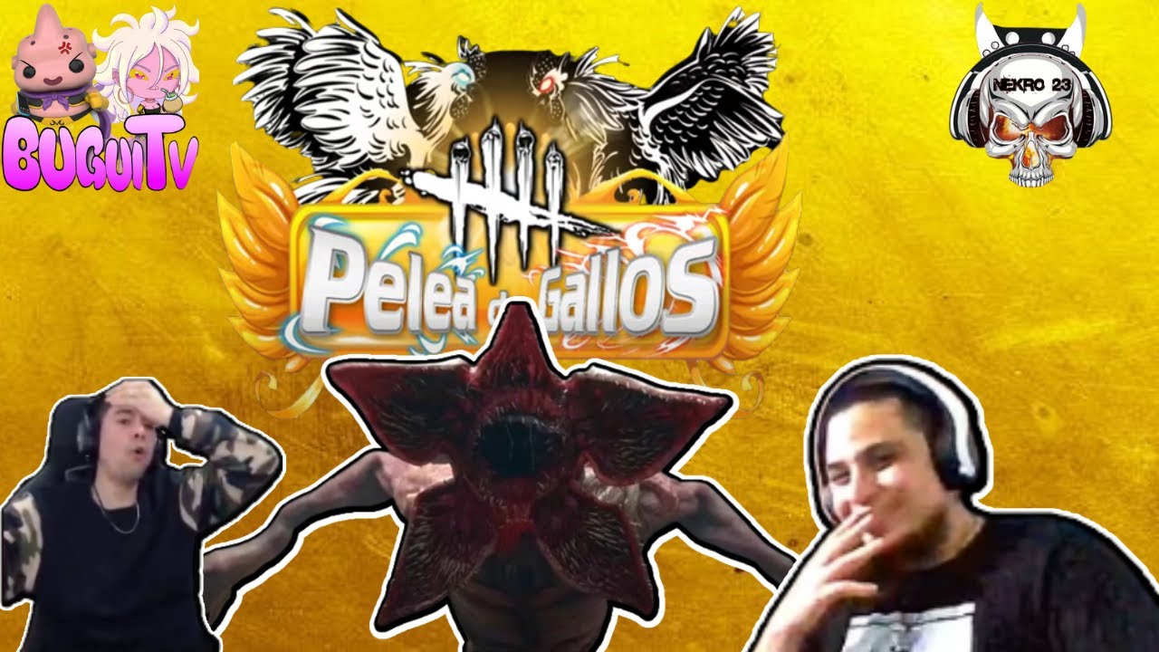 Participo en la pelea de gallos de BuguiTV !
