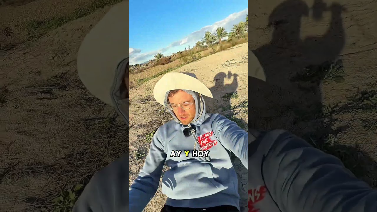 Siembra de abono verde 👆🏽Más info arriba 👆🏽