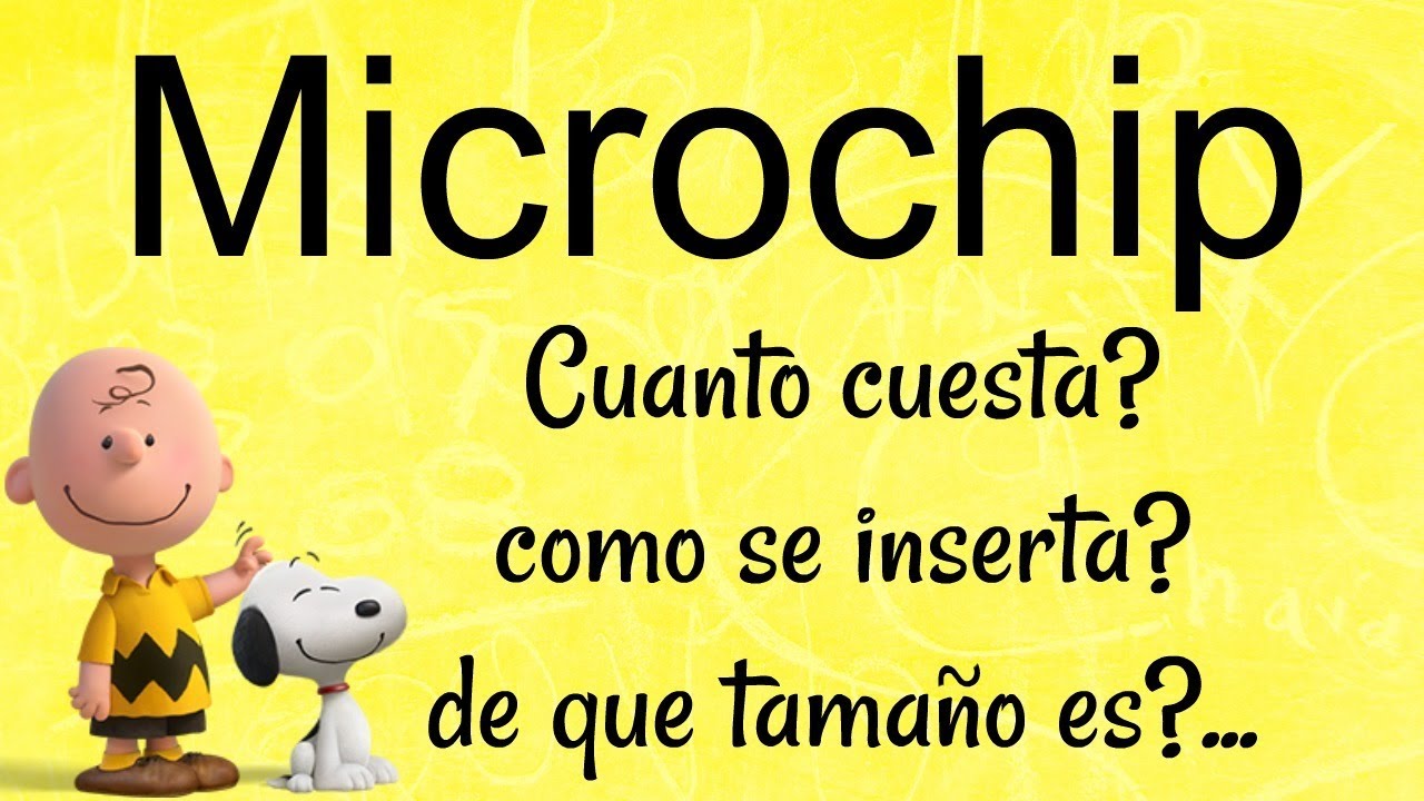 TODO acerca del MICROCHIP en PERROS: Duele? Precio? Como funciona? I Lorentix