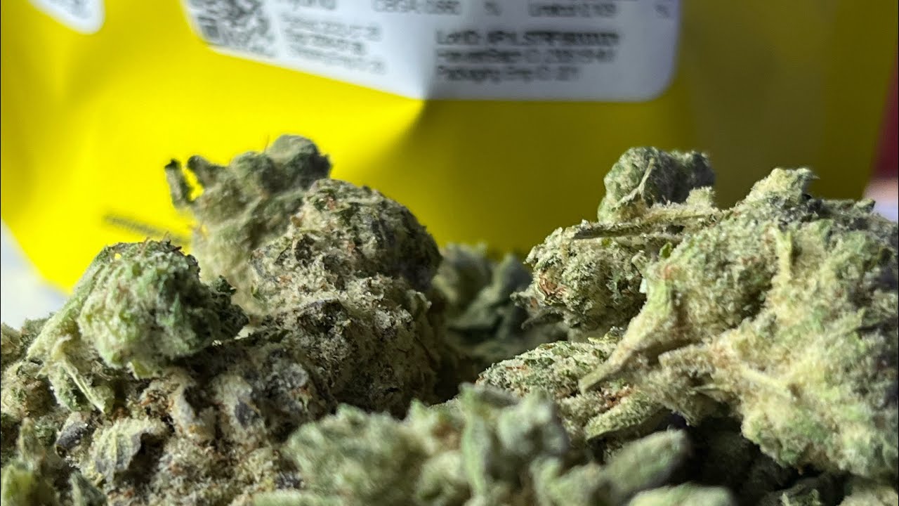 🦍💨Medical Marijuana Review #165 : GG #9 Dry Flower: Strane