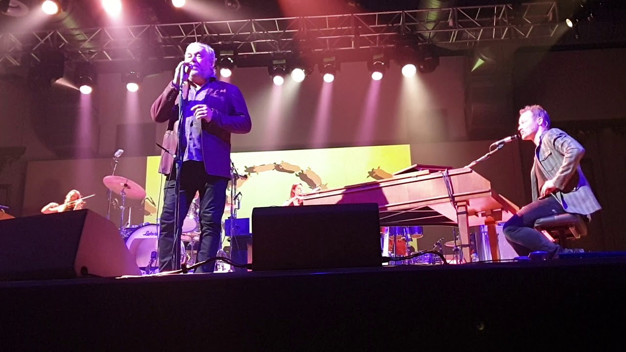 The Analogues - Piggies (live 20.03.2019 Berlin)