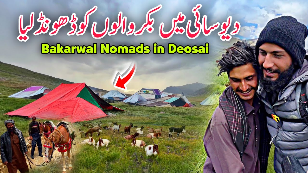 😱 Reached to Nomads Bakarwal in Deosai | Excited for Season 2