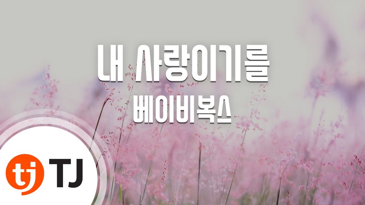 [TJ노래방] 내사랑이기를 - 베이비복스 / TJ Karaoke