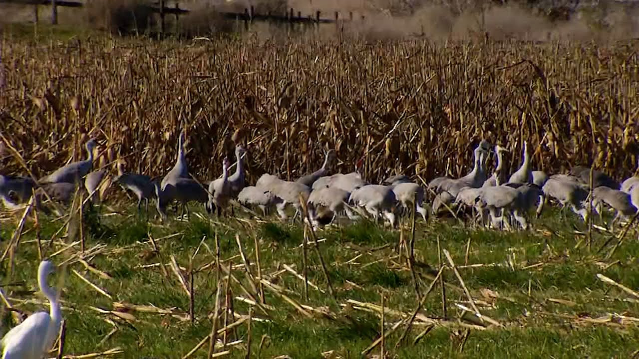 Merced National Wildlife Refuge