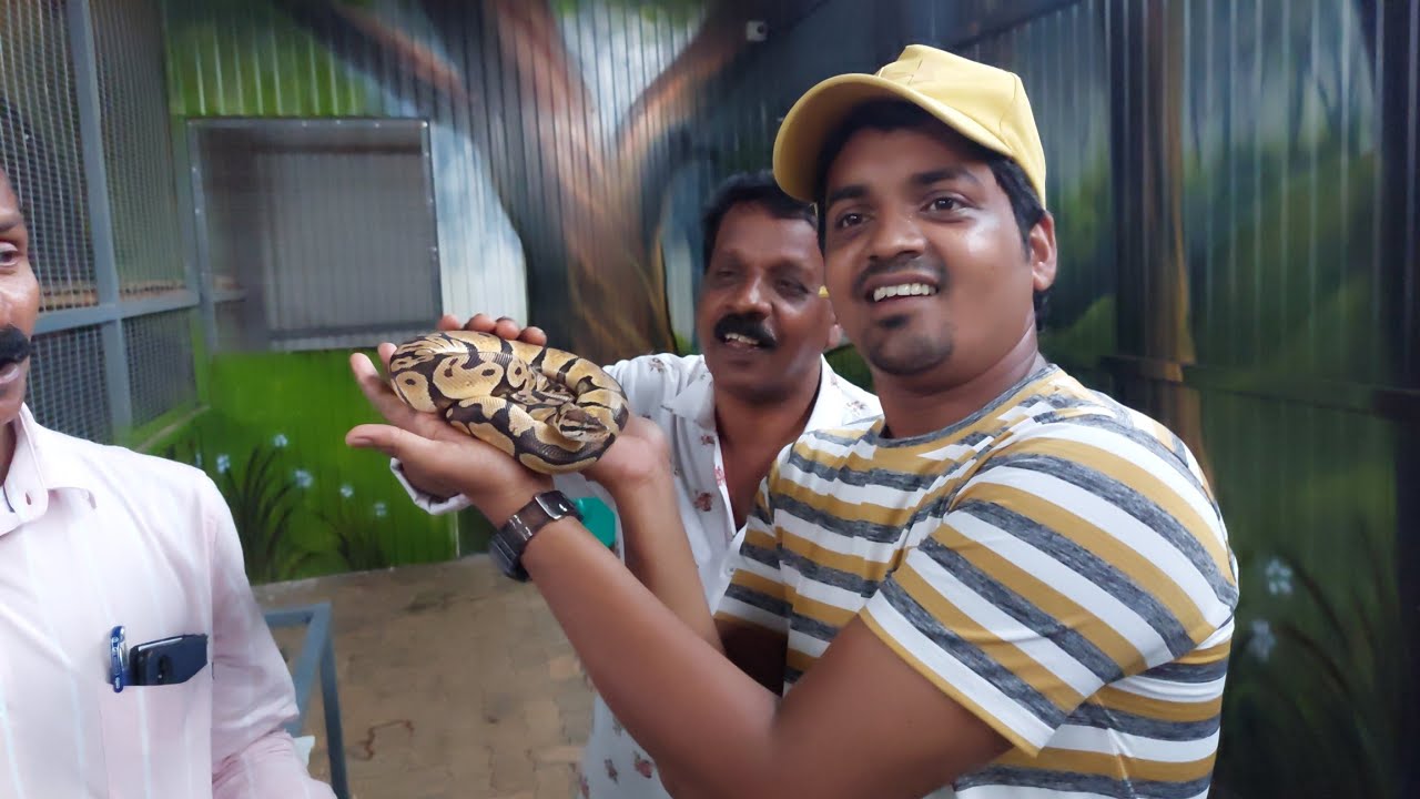 PQ EXOTIC BIRDS🦜🦜🪱🪱 PARK  IN VARAPUZHA  ERNAKULAM